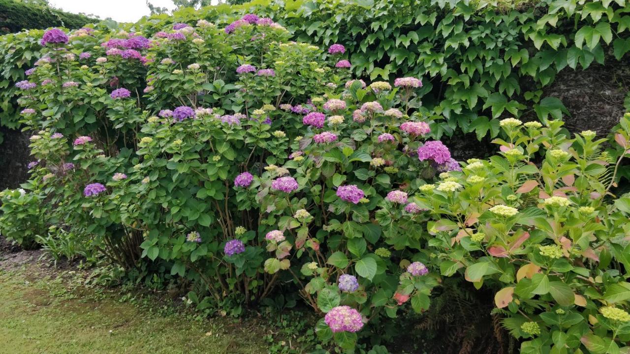 Apartment T1 Ou T2 Dans Avec Jardin Proche Biarritz *