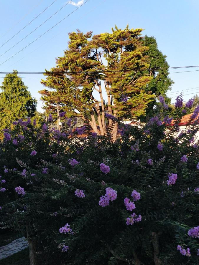 T1 Ou T2 Dans Avec Jardin Proche Biarritz *
