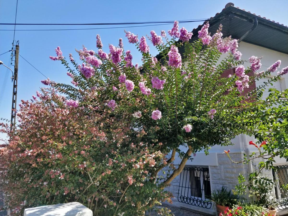 T1 Ou T2 Dans Avec Jardin Proche Biarritz Apartment *