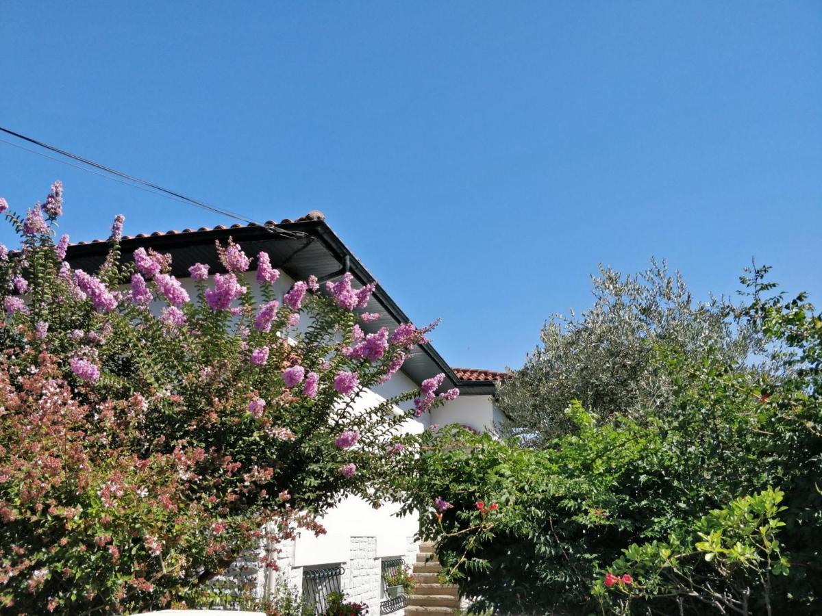 Apartment T1 Ou T2 Dans Avec Jardin Proche Biarritz *