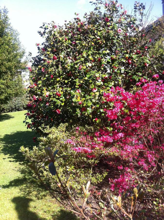 Apartment T1 Ou T2 Dans Avec Jardin Proche Biarritz Anglet