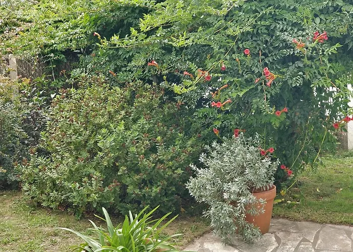 T1 Ou T2 Dans Villa Avec Jardin Proche Biarritz