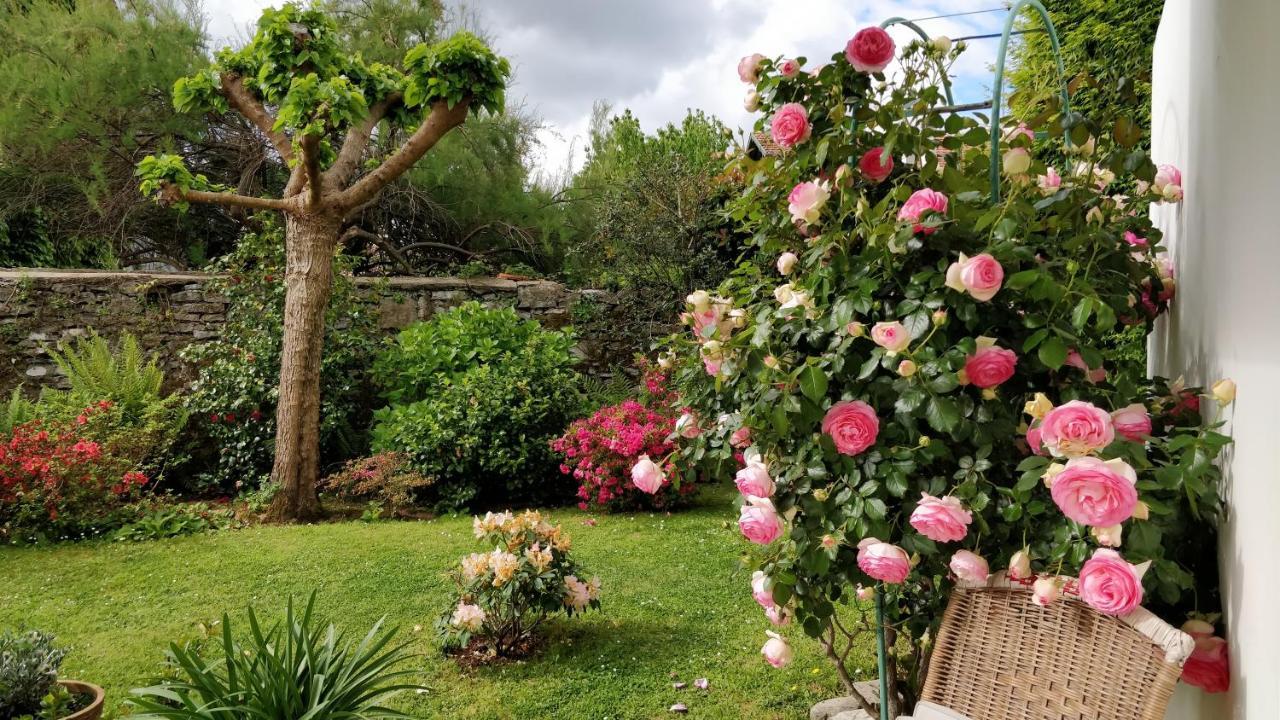 T1 Ou T2 Dans Avec Jardin Proche Biarritz Apartment